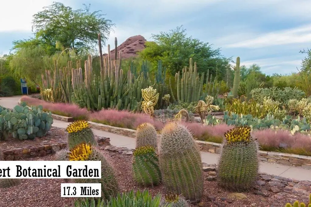 Apartment Modern 3-Br Condo Near West Gate Scottsdale